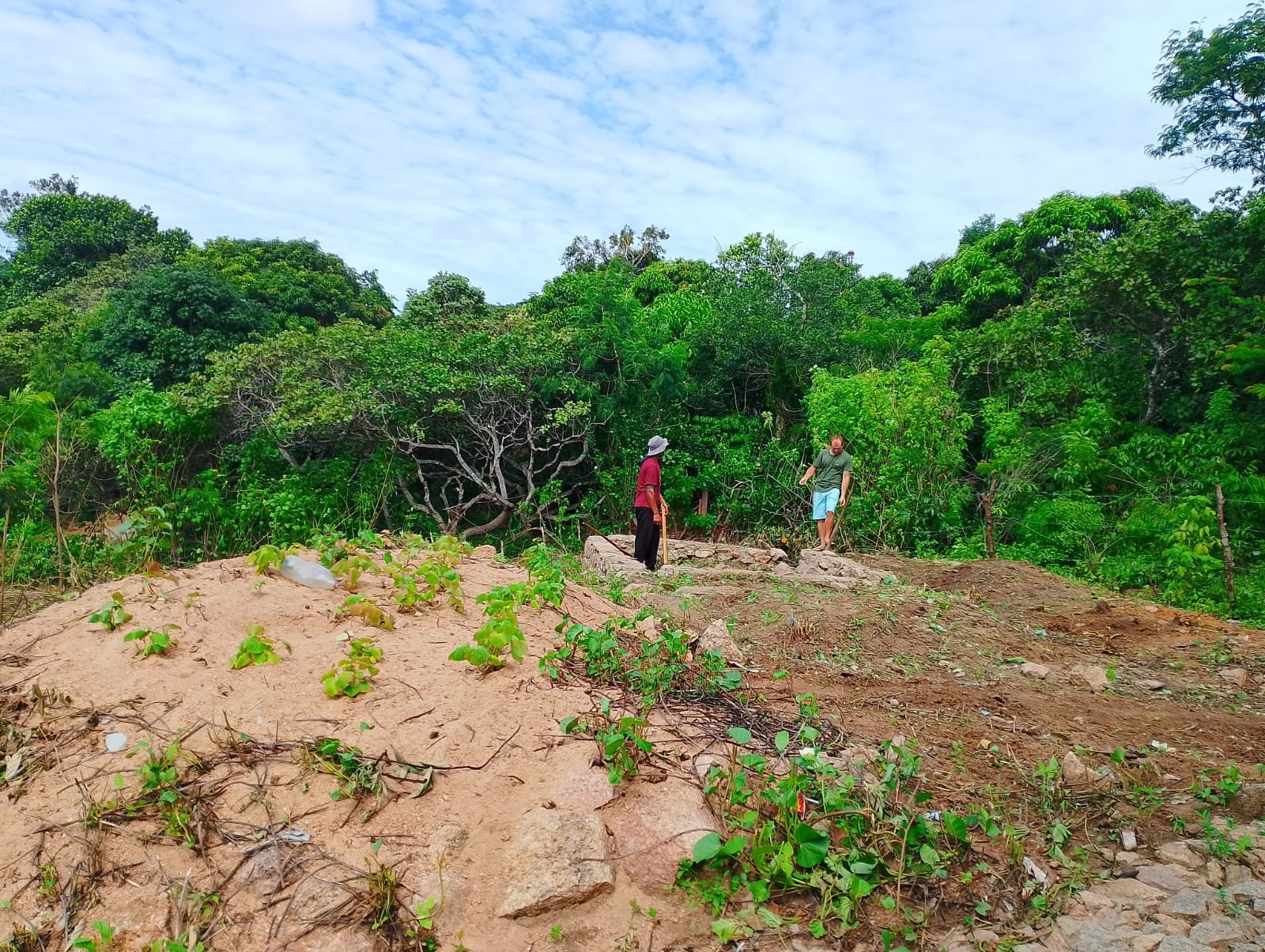 whatsapp image 2026 02 24 at 21.25.07